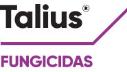 Talius logo